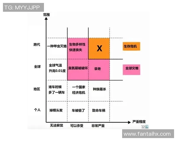 深圳羽毛球队的节奏解析与未来发展展望