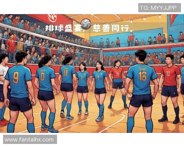 深圳排球队团队协作的变革与热议背后的故事与启示