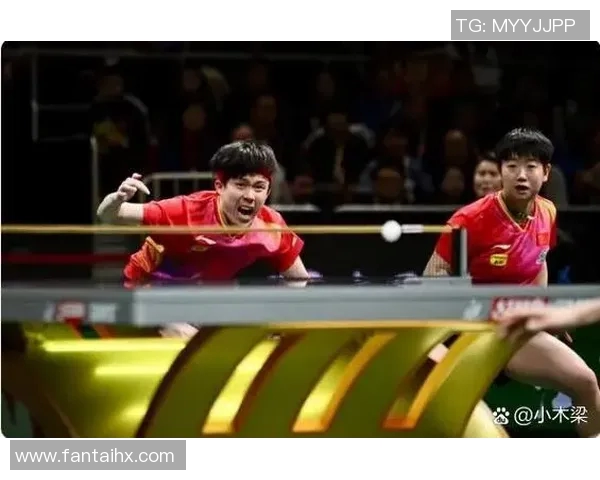 乒乓球的魅力与精神：深入了解成都乒乓球队的训练与理念