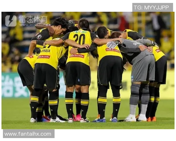 柏太阳神与鸟细砂岩的精彩对决分析及战术探讨